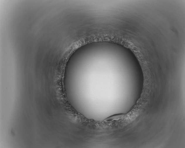 X0000113210192200909171542