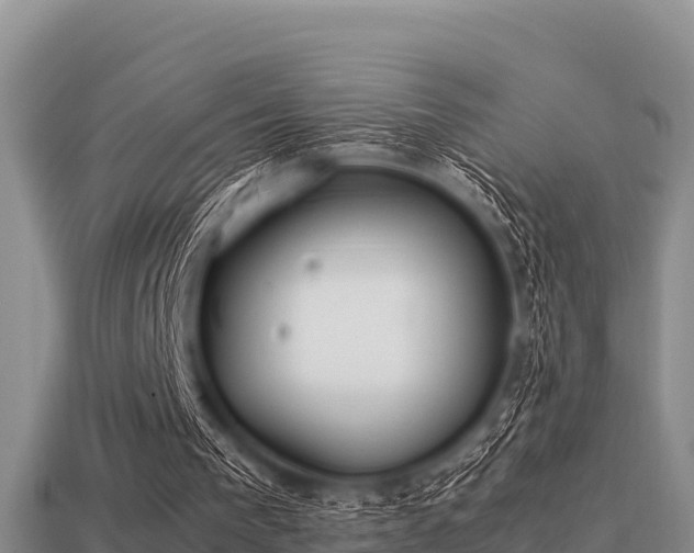 X0000113210193200909171541