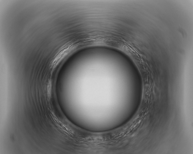 X0000113210194200909171541