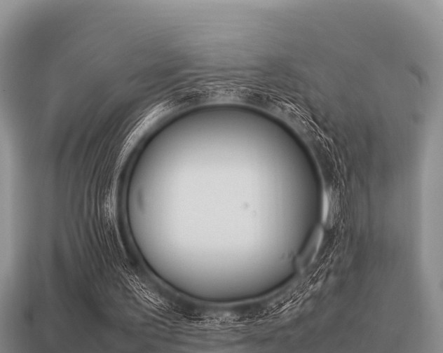 X0000113210195200909171541