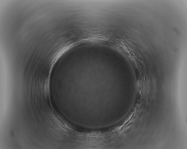 X0000113210196200909171541