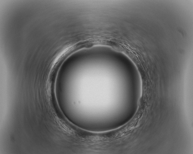 X0000113210197200909171541