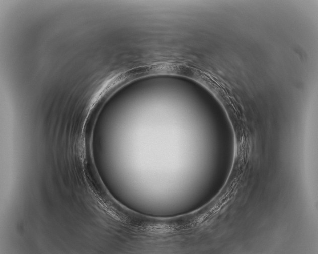 X0000113210198200909171541