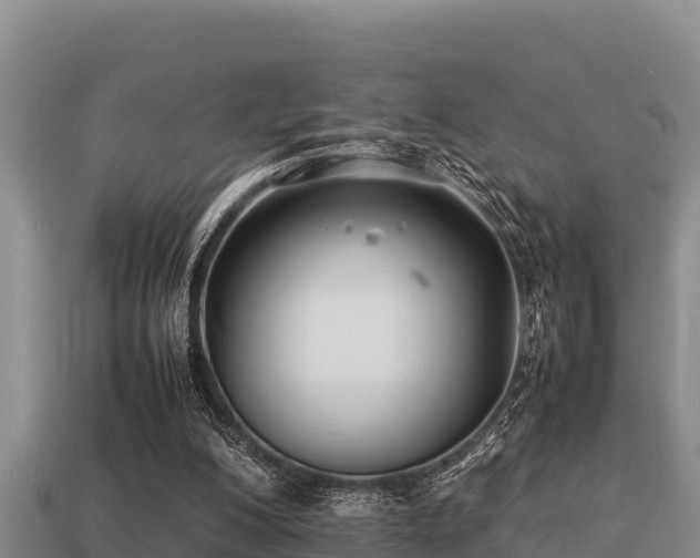 X0000113210200200909171541