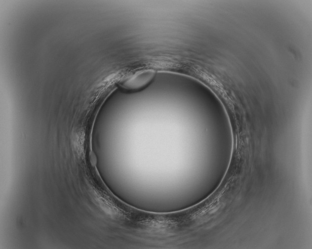 X0000113210201200909171541