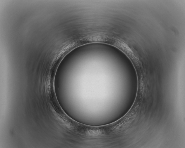 X0000113210202200909171541