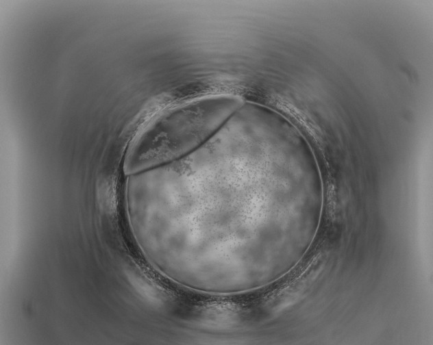 X0000113210203200909171541