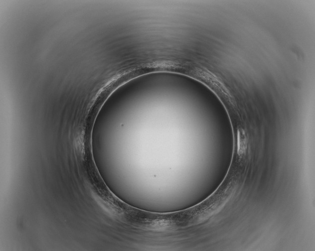 X0000113210204200909171541