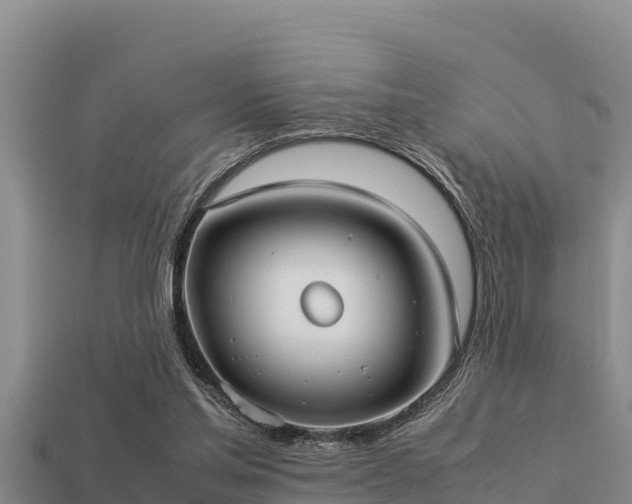 X0000113210205200909171541