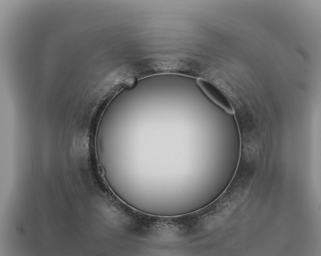 X0000113210207200909171541