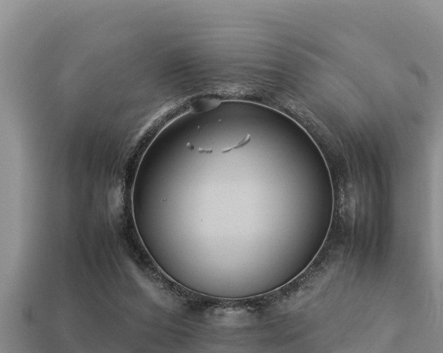 X0000113210208200909171541