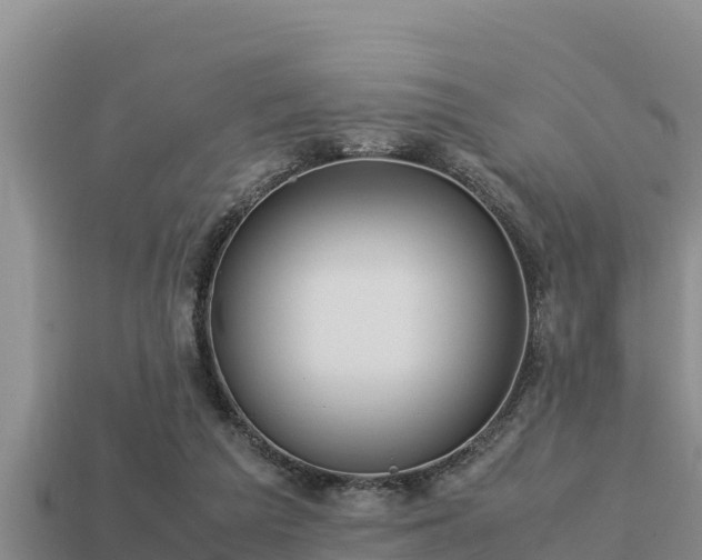 X0000113210209200909171541