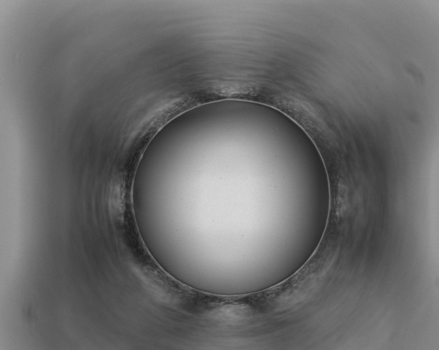 X0000113210210200909171541