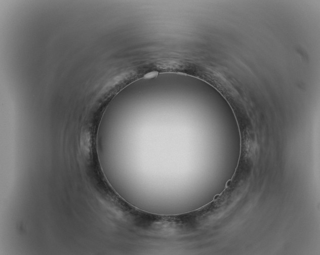 X0000113210211200909171541