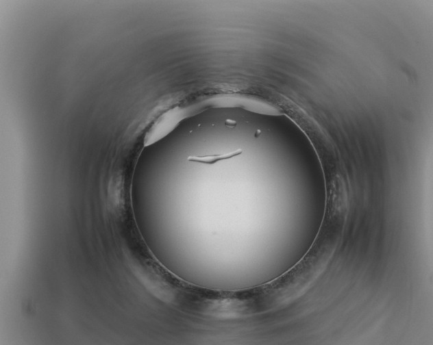 X0000113210212200909171541