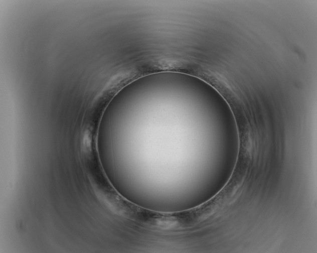 X0000113210214200909171541