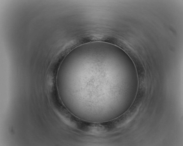 X0000113210215200909171541