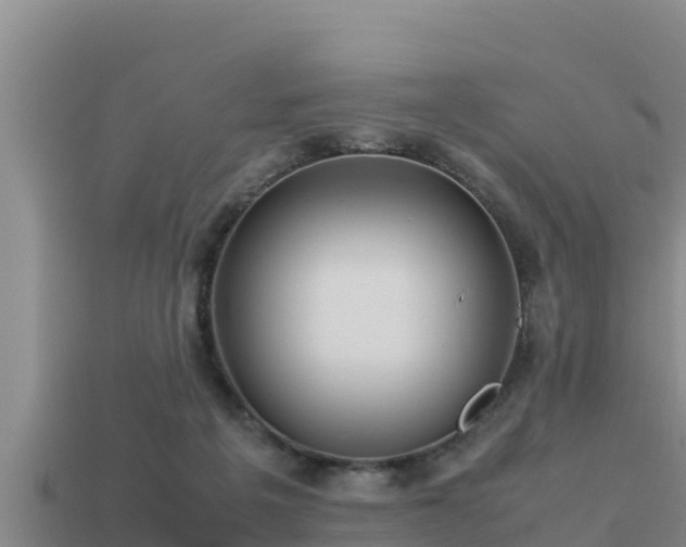 X0000113210217200909171541