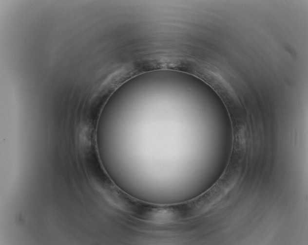 X0000113210218200909171541