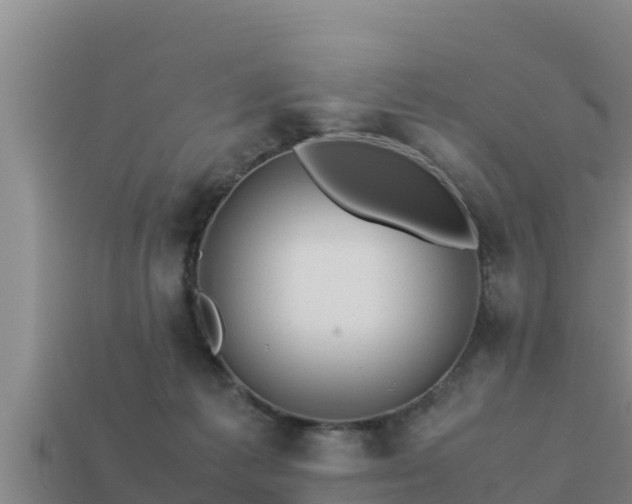 X0000113210221200909171541