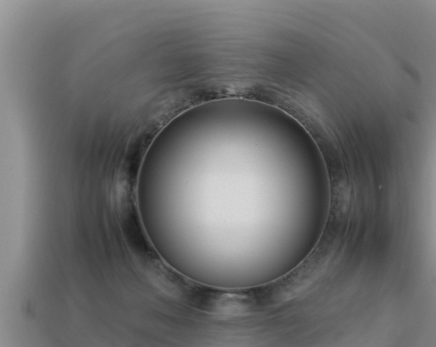 X0000113210222200909171541