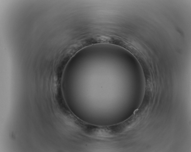 X0000113210223200909171541