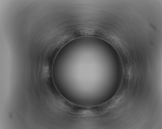 X0000113210224200909171541