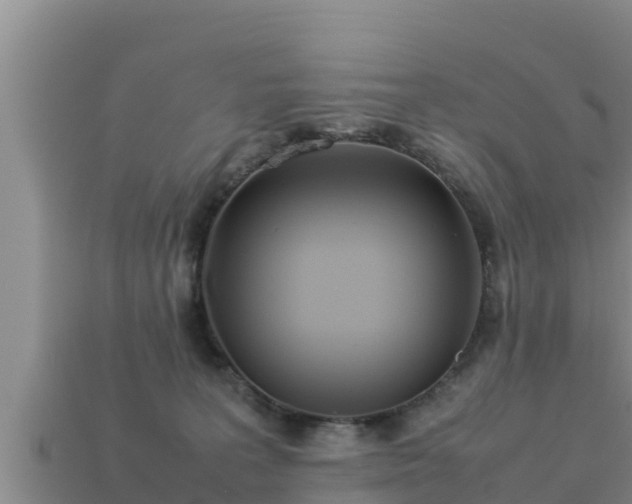 X0000113210227200909171541