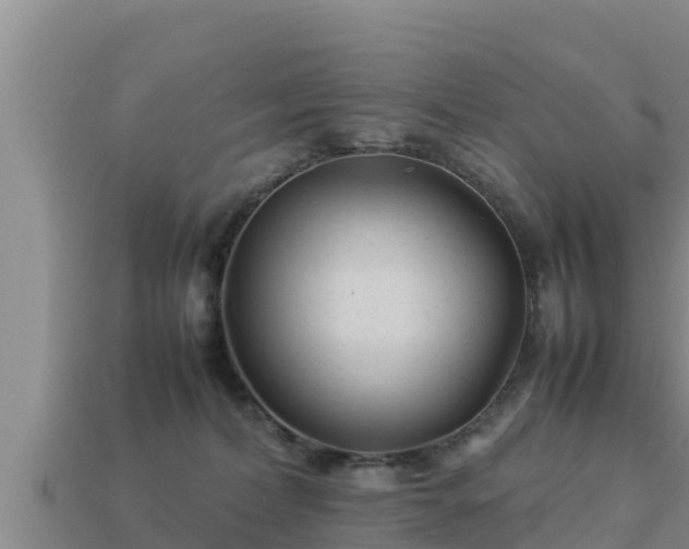 X0000113210228200909171541