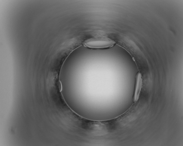 X0000113210229200909171541