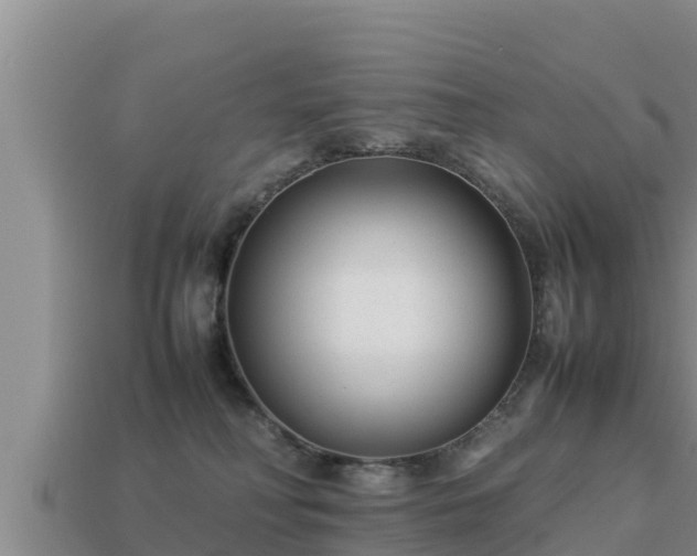 X0000113210230200909171541