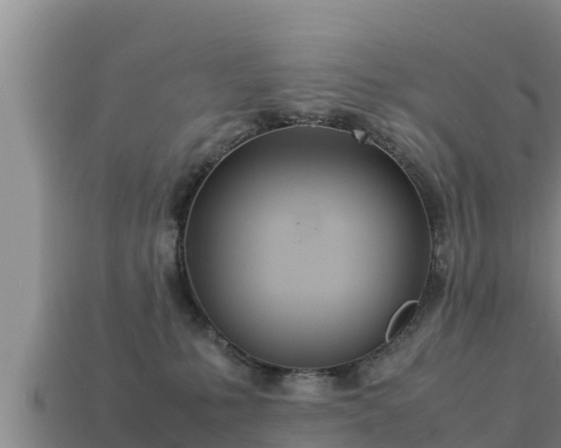 X0000113210231200909171541