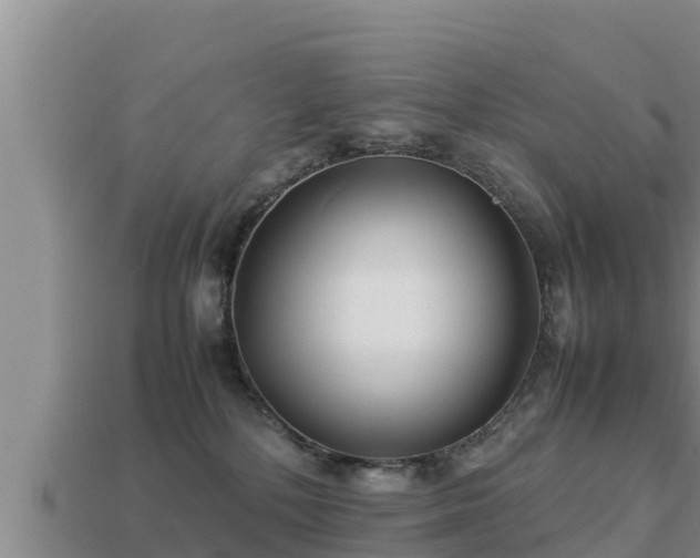 X0000113210232200909171541