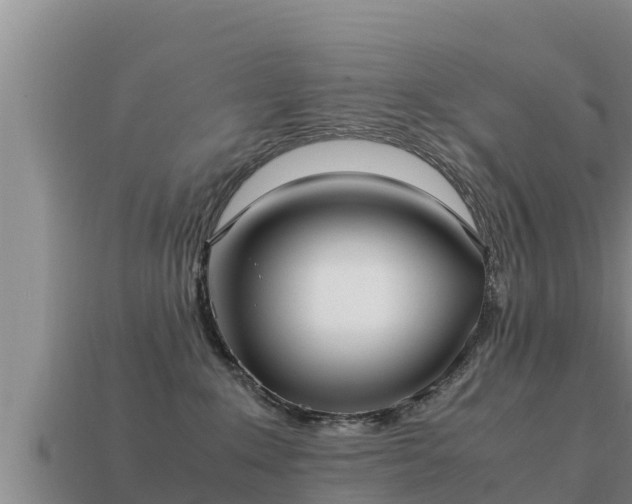 X0000113210235200909171541