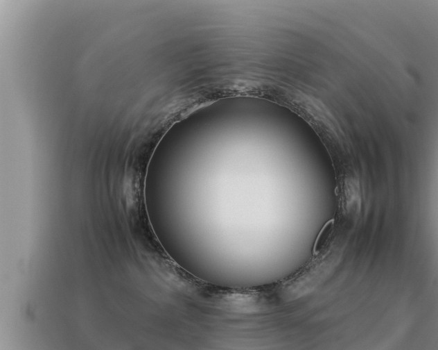 X0000113210236200909171541