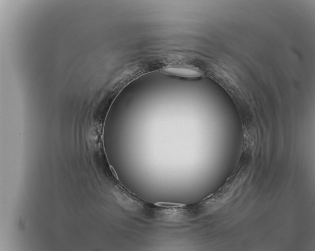 X0000113210237200909171541