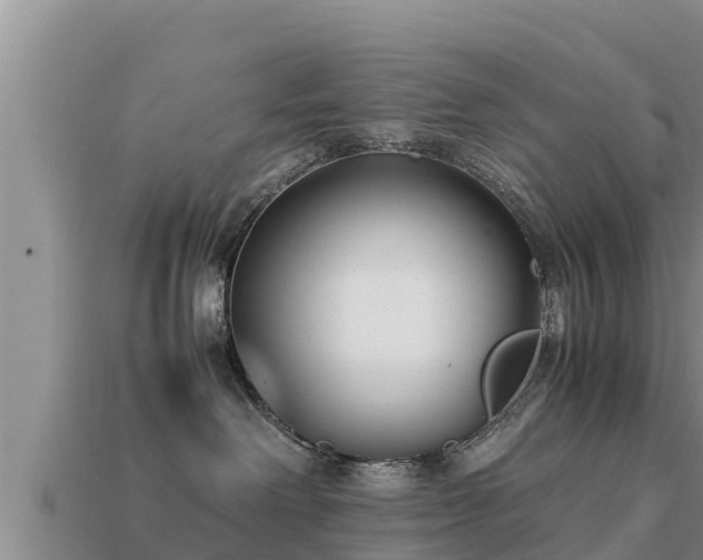 X0000113210238200909171541