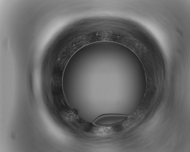 X0000113210239200909171541