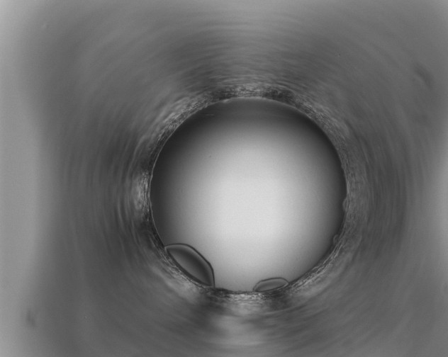 X0000113210240200909171541