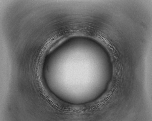 X0000113210241200909171540