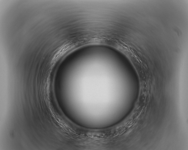 X0000113210242200909171540