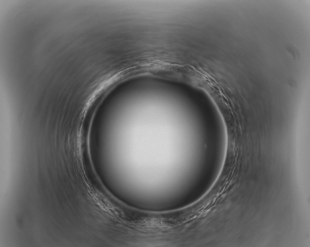 X0000113210244200909171540