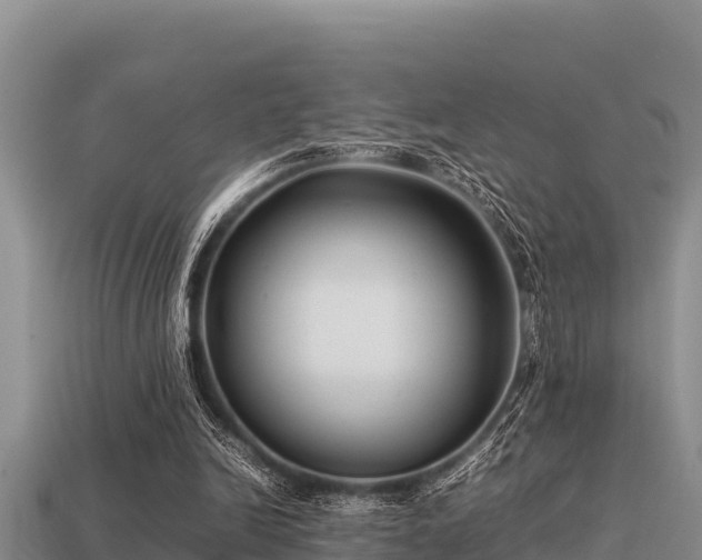 X0000113210246200909171540