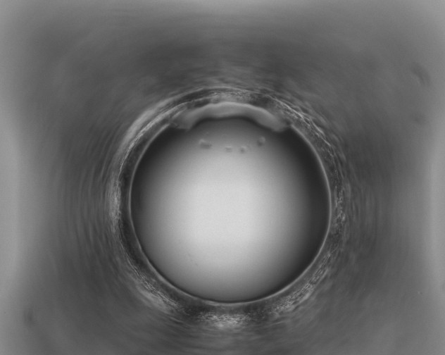 X0000113210247200909171540