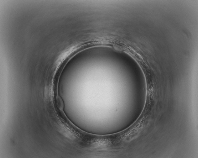 X0000113210248200909171540