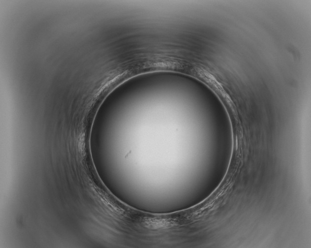 X0000113210249200909171540