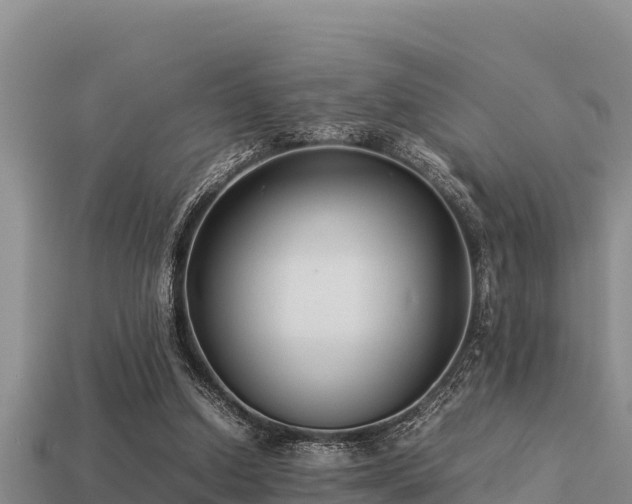 X0000113210250200909171540