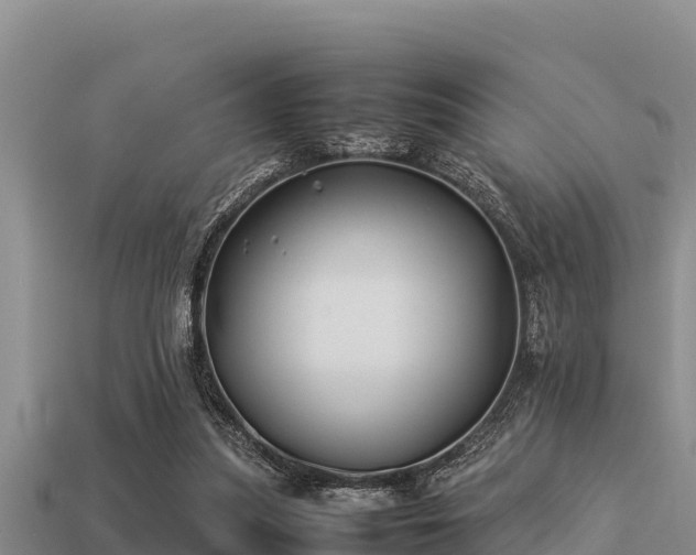 X0000113210251200909171540