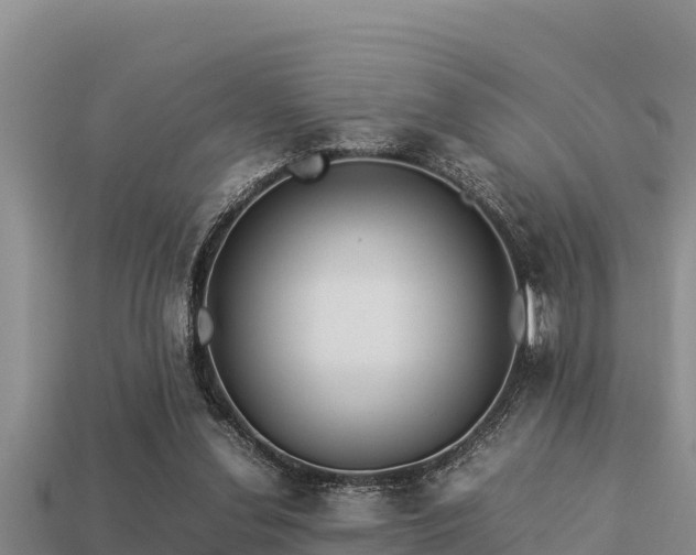 X0000113210252200909171540