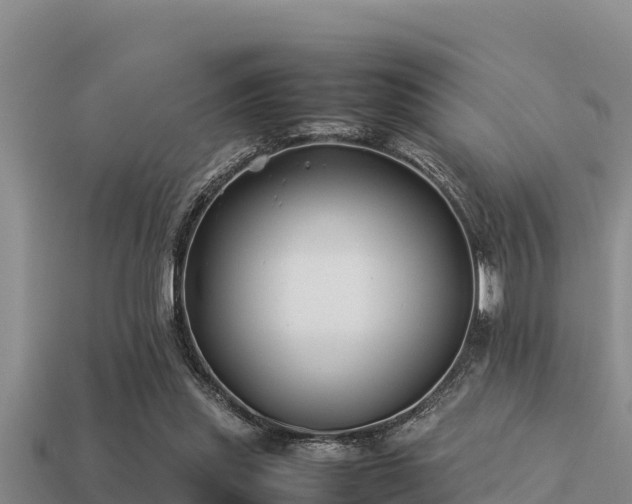 X0000113210253200909171540